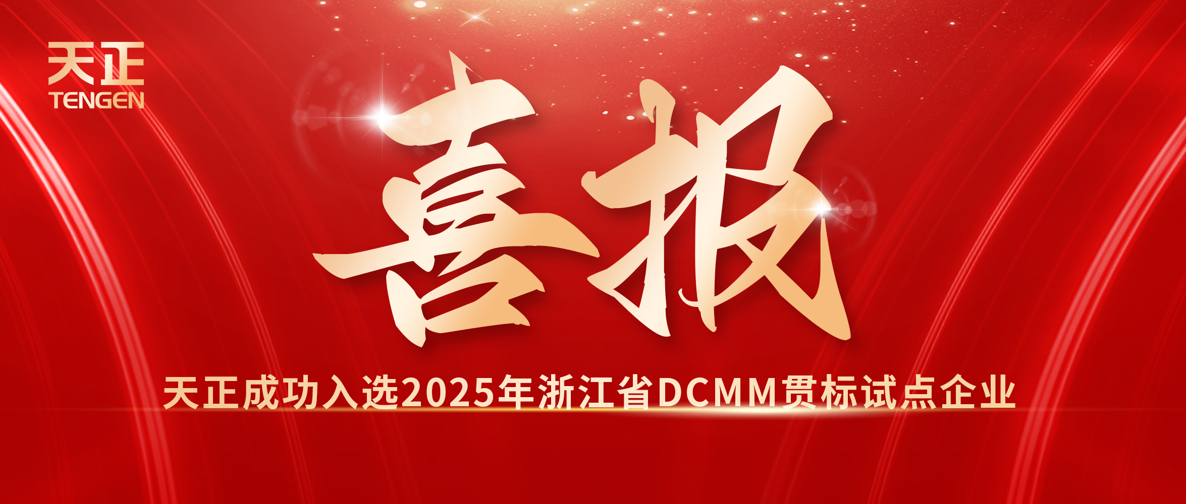 喜報！天正入選浙江省DCMM貫標試點企業(yè)